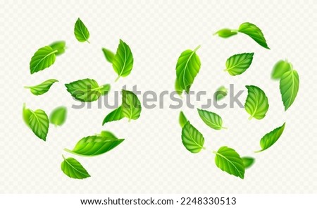 Similar – Image, Stock Photo Melissa leaf Leaf Mint