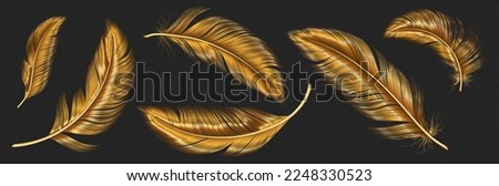 Gold feathers, bird wings plumage. Luxury vintage pen from quills. Soft fluffy golden feathers flying in air isolated on transparent background, vector realistic illustration