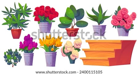 Flower shop interior design elements set isolated on white background. Vector cartoon illustration of colorful bouquets in buckets, tulip and rose bunch in vase, green plant in pot, wooden shelf