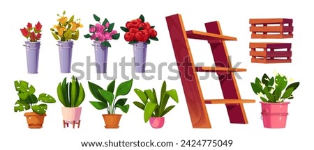 Flower shop design set isolated on white background. Vector cartoon illustration of wooden shelf and crates, bunches of color roses, lilies in metal bucket vases, green plants in pots, florist store