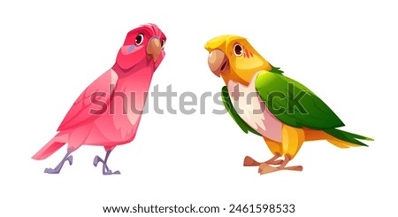 Parrot with bright colorful feathers. Cartoon vector illustration set of cute tropical birds standing. Exotic jungle pink, yellow and green birdie with beak and wings. Wild cheerful animal mascot.