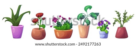 Similar – Image, Stock Photo Various plants and flowers in bright floral shop