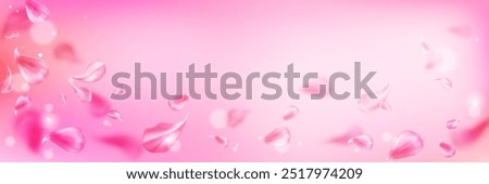 Pink petal spa spring background. Rose flower blossom and falling. Abstract floral beauty wedding pattern on banner. Valentine delicate japanese design with wind effect and flying leaf. Mother day bg