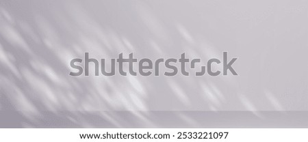 Sun light and shadow on wall floor overlay background. Grey tree leaf nature shade texture with blur bg. Abstract minimal sunshine photography material with smooth filter layout. Presentation design