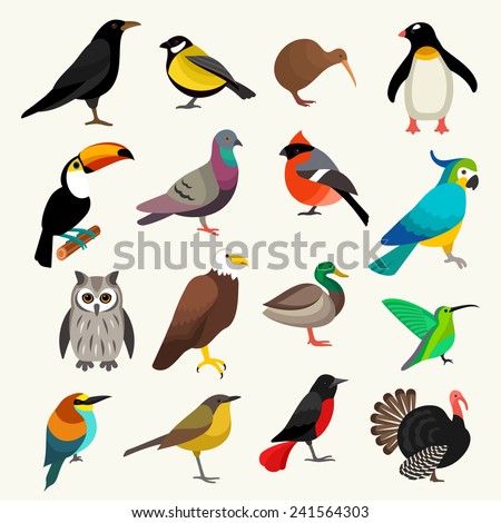 Birds set