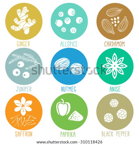 Fresh herbs and spices icon set. Vector illustration.