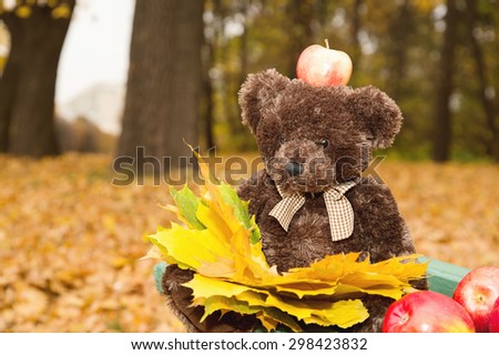 Teddy bear sitting on the bench with an apple on his head. Teddy bear on the bench with yellow leaves and apples. Day of Knowledge.
