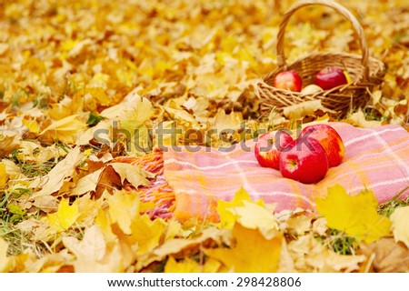 Ripe apples lie on the plaid in the autumn park. Basket with apples on the yellow autumn leaves.