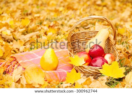 Organic fruits and vegetables in a basket on plaid in autumn park. Fresh pears, apples and pumpkins in a basket on nature. The season of harvest.