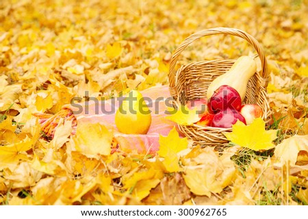 Organic fruits and vegetables in a basket on plaid in autumn park. Fresh pears, apples and pumpkins in a basket on nature. The season of harvest.