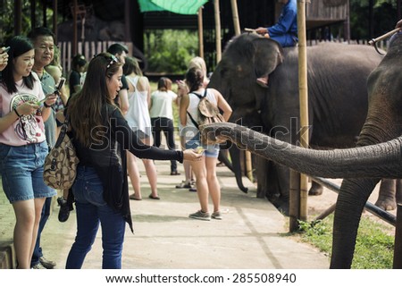 LAMPANG, THAILAND - JUNE 8 : Daily elephant show at The Thai Elephant Conservation Center, Tourism feeding the elephant banana before elephant show. Lampang ,Thailand. June 8 ,2015 Lampang, Thailand.