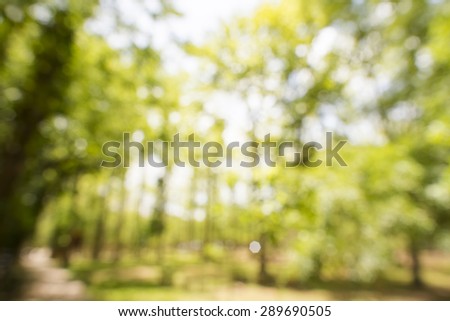 Abstract forest out of focus, natural bokeh background.