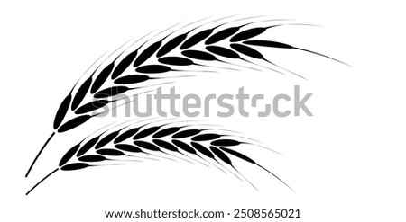 Wheat Ears Icons vector illustration. wheat leaf clipart. Organic wheat icon, bread agriculture. Grains plants and cereal, rye barley and wheat ear spikes. Bakery food concept. cereal plant isolated.