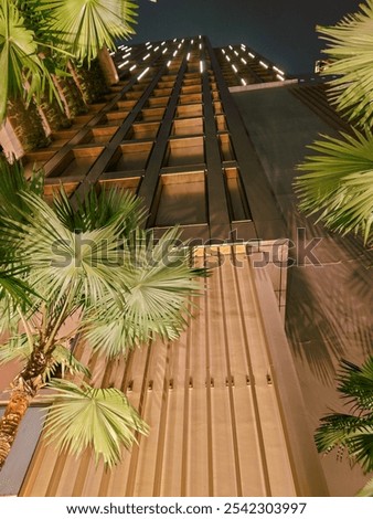 Similar – Image, Stock Photo Marseille / palm tree behind houses