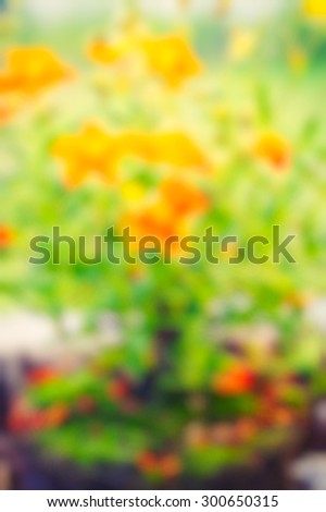 Trendy, hipster blurred background image of plants, dominant color green and brown.