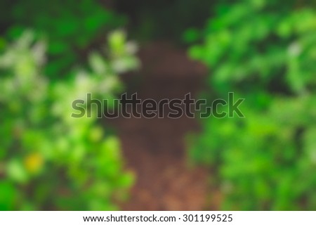 Blurry background dirt path trough forest, bushes. Nature shot, predominant colors green and brown.