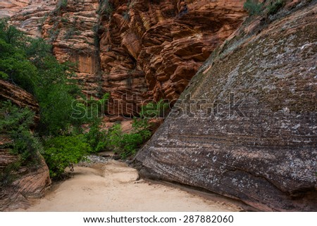 Dry Riverbed Canyon in Zion National Park