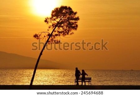 Sunset on sea and tree, people standing near a bench under sunset, young couple near the sea under sunset