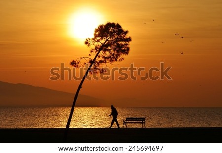 Sunset on sea and tree, people walking under sunset