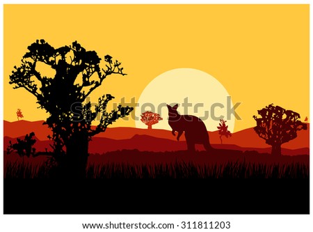 Vector landscape. Australian wildlife. Silhouette of kangaroo. Sunset.