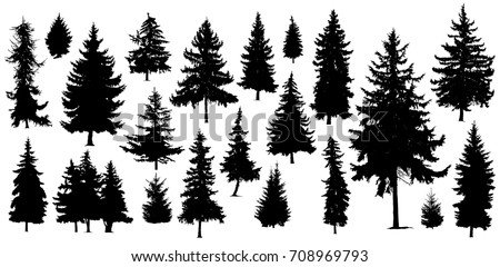 Set of Twenty One different silhouettes of pine trees. Handmade.