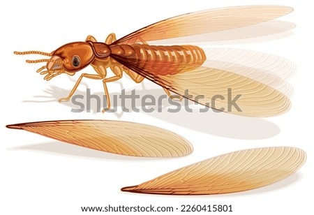 Vector illustration of alates termite winged brown wings fell off,mayfly of termites,adult termites that come out at beginning of rainy season ready to reproduce,caste system insects,isolated on white