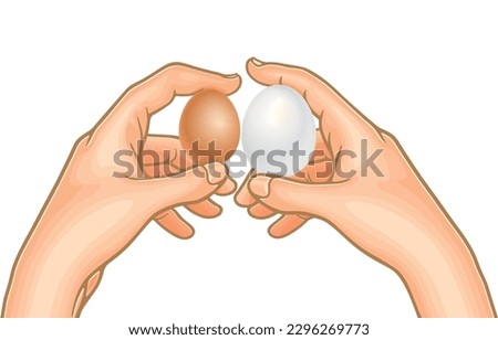 Vector illustration of hand holding chicken eggs,duck eggs,goose eggs,compare eggs of two poultry,different size,isolated on white.Important organs used to hold objects such as food,various utensils.