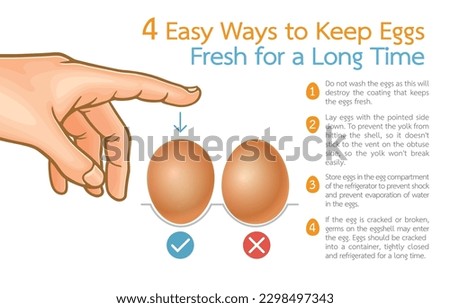 Infographic illustration of 4 easy ways to keep eggs fresh for long time,isolated on white,Food Sustainability with Secrets to Maintain Nutrition with High-Quality Protein That's Healthy for Everyone.