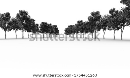 Similar – Image, Stock Photo Tree avenue in winter with snow