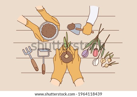 Entertainment with children, development and education concept. Top view of Family growing flowers in pot and taking care of flowers over wooden background vector illustration 