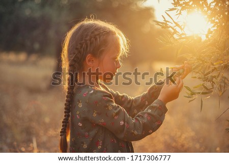 Similar – Image, Stock Photo farmers collecting olives in field of spain