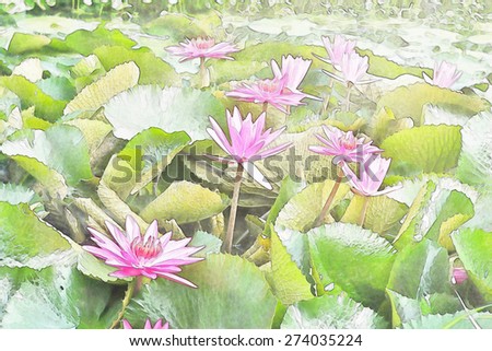 Beautiful Pink Water Lilies Floating on a Lake, water color style