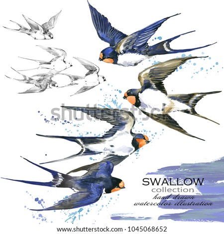 Similar – Image, Stock Photo Flying swallow bird. Ink black and white drawing
