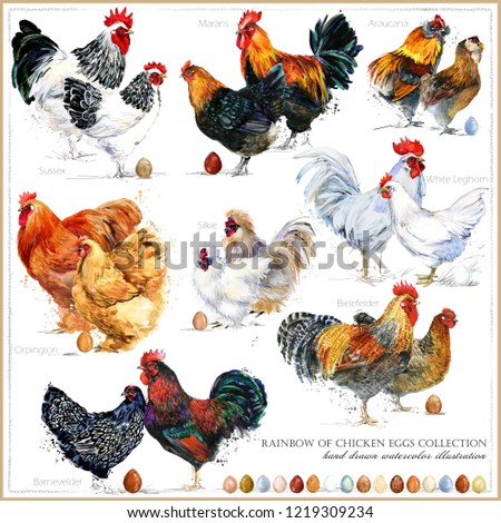 Similar – Image, Stock Photo Eggs agriculture artistic