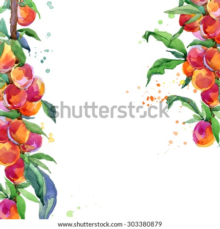 Red plums with leaves on white background. watercolor illustration