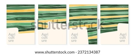 Similar – Image, Stock Photo Plantation of green vineyards under blue sky on farmland