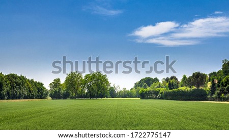 Countryside landscape. Italy. Beautiful typical countryside summer landscape.
