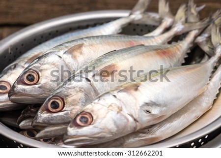 Fresh and raw silver tuna or mackerel fishes in stainless bowl for food preparation background