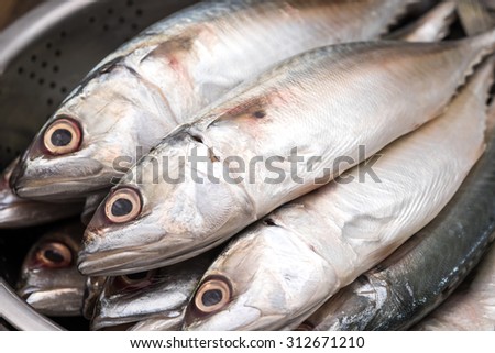 Close up of fresh and raw silver tuna or mackerel fishes for food preparing background