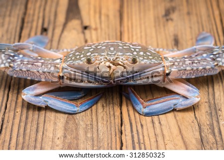 Fresh and raw blue crab tie with rubber bank on wood table for seafood cuisine preparation background