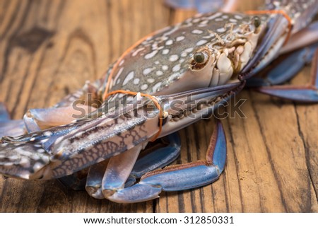 Fresh and raw blue crab tie with rubber bank on wood table for seafood cuisine preparation background