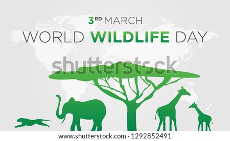 Download World Wildlife Wallpaper 1920x1080 | Wallpoper #378837