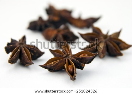 Anise star (Illicium verum) isolated on white background. Also called Star aniseed, or Chinese star anise. Used as a spice in cuisines all over the world. The plant is also used in medicine.