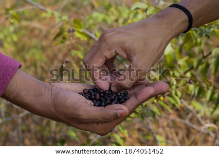 Shutterstock Puzzlepix