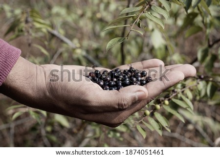 Shutterstock Puzzlepix