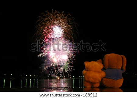 Teddy bears watch fireworks