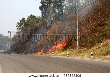 Wild fire road in Muang District of unknown origin to create air pollution and our vision of driving a car is not visible to the eye, nose, and heartburn clear on 10 March 2015