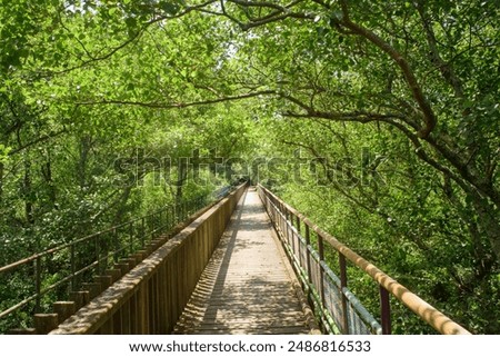 Similar – Image, Stock Photo Forest and bridge in fog