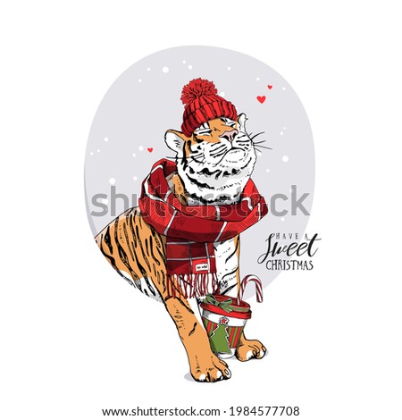 Similar – Image, Stock Photo Chocolate Santa Claus looks out of a white paper bag with starlight