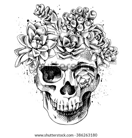 Flower Skull Vector Illustration | Download Free Vector Art | Free-Vectors